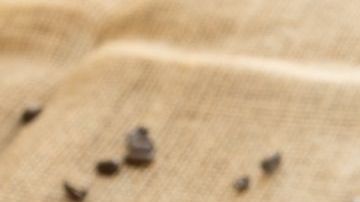 La cafeína y los polifenoles del café tienen efectos en tu cuerpo.