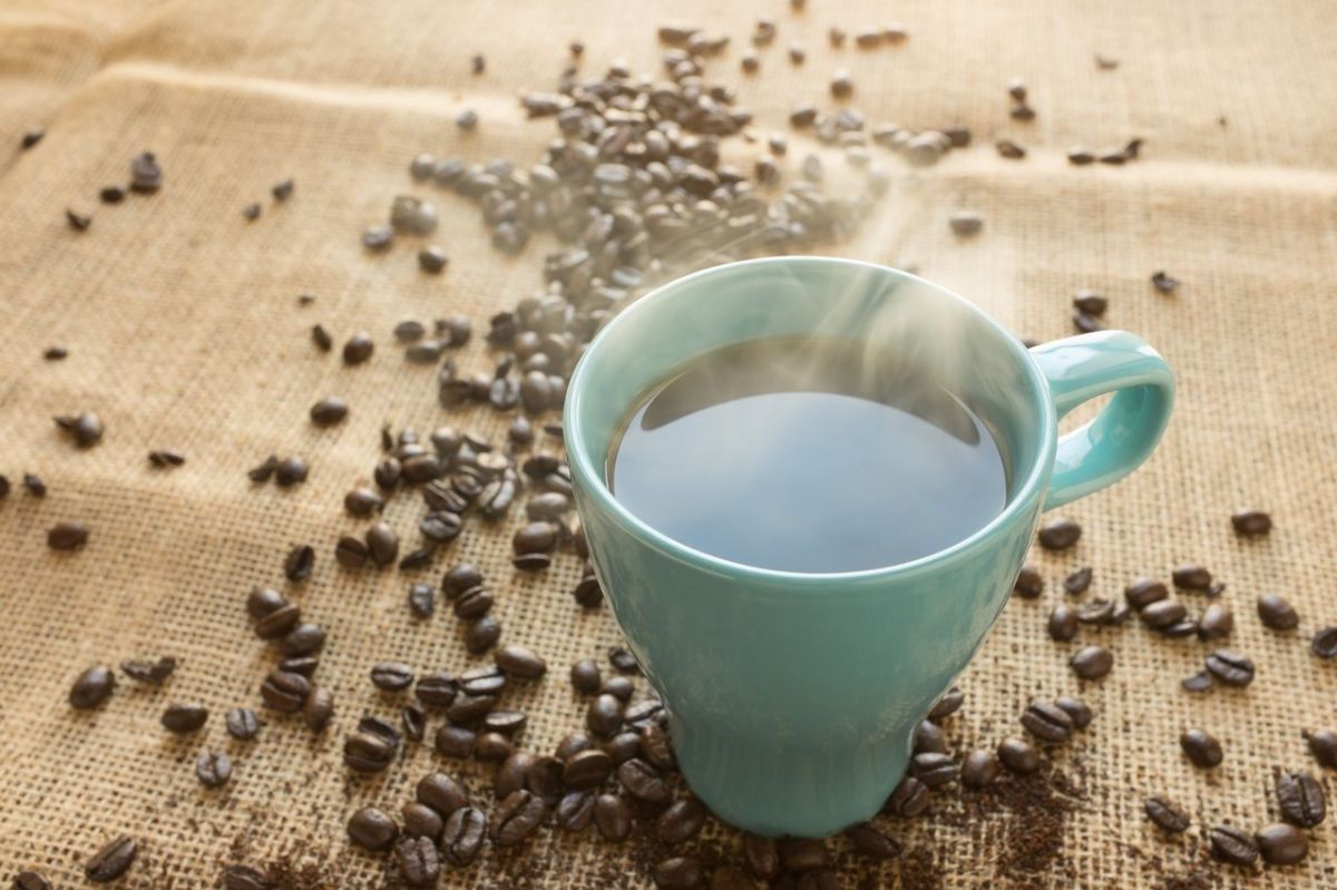 La cafeína y los polifenoles del café tienen efectos en tu cuerpo.