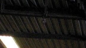 El Gobierno mexicano quiere evitar una crisis alimentaria.