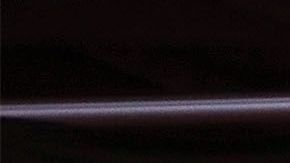 Canelo y Eddy Reynoso fueron nombrados como el boxeador y el entrenador del año (2019).