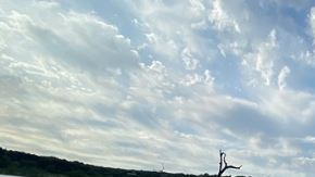 Canyon Lake