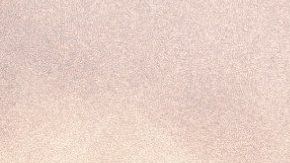 A muchos compradores no les importa invertir miles de dólares en renovaciones por vivir en una casa histórica.