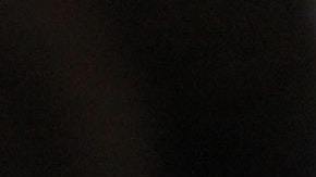 El gato representa a los Acuario.