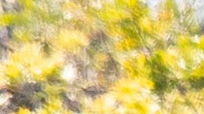 California está realizando más pruebas de coronavirus.