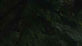 El Centro Médico Siglo XXI, en Ciudad de México.