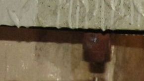 Con el cierre temporal de muchas escuelas, los padres de familia han tenido que ocuparse de la educación de los más pequeños.