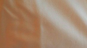 Completa el cuestionario desde tu hogar, online o por teléfono.