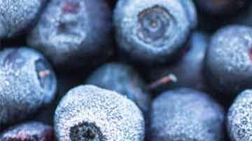 cr-health-inlinehero-frozen-food-worth-freezer-space-03-19