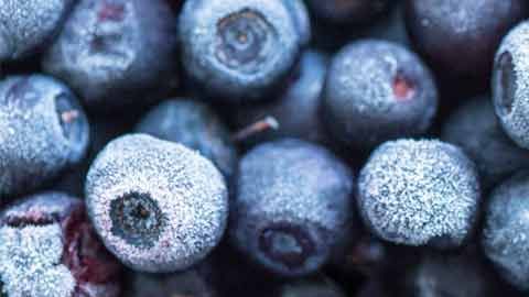 cr-health-inlinehero-frozen-food-worth-freezer-space-03-19