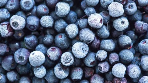 cr-health-inlinehero-frozen-food-worth-freezer-space-03-19