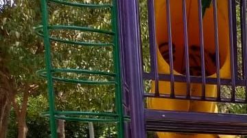 Los parques del centro de la ciudad lucen vacíos.