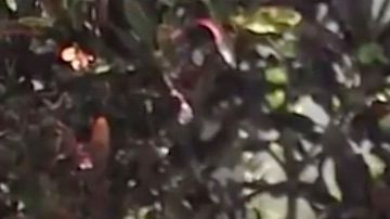 La pequeña Anna Ortiz, que cumplió 9 años, compartió su día con los bomberos y la policía de Miami Beach