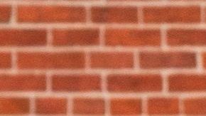 Protesta para reabrir la economía