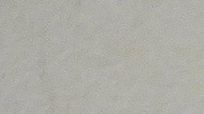 Bajo estrictas medidas sanitarias, se intentaría blindar a los deportistas de contagios.