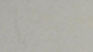 Bajo estrictas medidas sanitarias, se intentaría blindar a los deportistas de contagios.