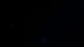 Desiré Cordero se convirtió en Miss España en 2014.