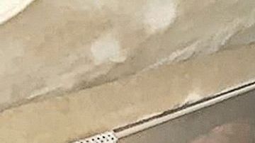 Diplo meditando en su vuelo.