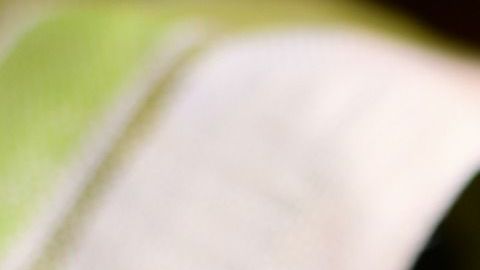 El dominó también sirve para predecir el futuro.