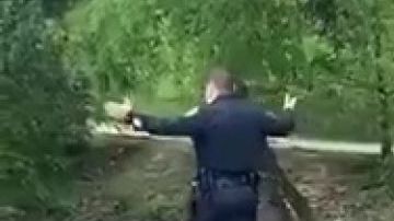 Unos patitos perdidos buscaron la ayuda de la policía para encontrar a su madre.