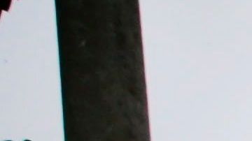 Portugal ha seguido la recomendación de la OMS de hacer muchas pruebas.