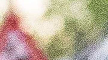 Crece la polémica respecto a la realización del Tour de Francia 2020.