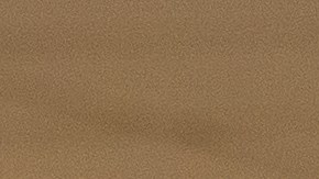 Las ‘brigadas de temperatura’ chequearán a 2,000 empleados cada día y quien tenga fiebre será enviado a su casa.