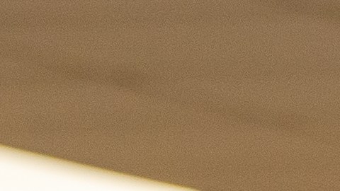 Las ‘brigadas de temperatura’ chequearán a 2,000 empleados cada día y quien tenga fiebre será enviado a su casa.