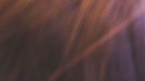 Evita cometer estos errores, y no tendrás que comprar una computadora nueva en mucho tiempo.