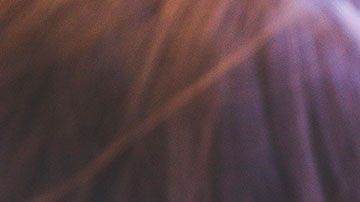 Evita cometer estos errores, y no tendrás que comprar una computadora nueva en mucho tiempo.