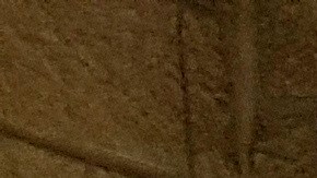 Yesenia Mata: la pandemia debe obligar a repensar el trato a nuestras comunidades (Foto: Jorge Fuentelsaz EFE)