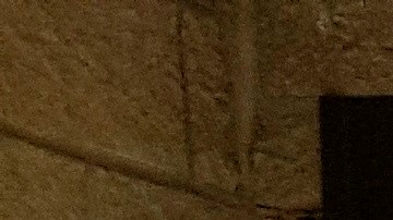 Yesenia Mata: la pandemia debe obligar a repensar el trato a nuestras comunidades (Foto: Jorge Fuentelsaz EFE)