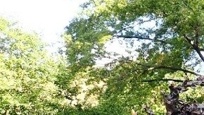 La estatua infantil se ubica entrando por 74 St con 5 Av