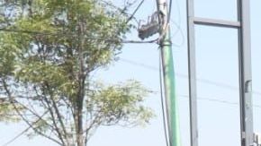 Además de la falta de insumos, ahora el personal del IMSS es víctima de agresiones.