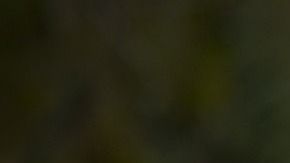 Los abrazos les permiten a los niños una reacción positiva a nivel emocional.