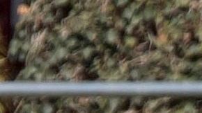 El conjunto bávaro entrenó en grupos reducidos y guardando la distancia recomendada por la OMS.