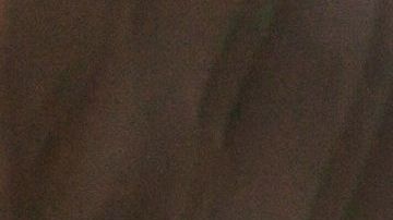 frutas-verano-fresas-shutterstock_538408366