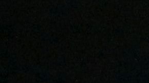 Los gatos son animales independientes que pueden sentirse invadidos ante la presencia humana por 24 horas.