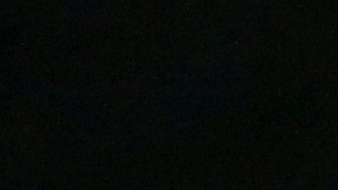 Los gatos son animales independientes que pueden sentirse invadidos ante la presencia humana por 24 horas.