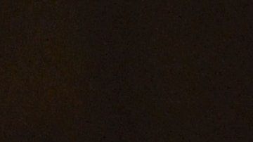 Los felinos tienen más probabilidades de contagiarse que otras mascotas caseras.