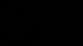 Decenas de millones de estadounidenses tendrían que esperar más tiempo para obtener la asistencia.