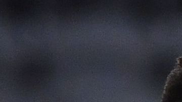 El colombiano Eduard Atuesta es una de las figuras que aparecen en el video.