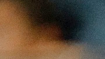 El surcoreano apoyará a los peloteros de su equipo.