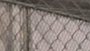 Inmigrantes detenidos