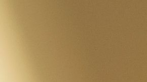 Selena Gómez, nieta de indocumentados.