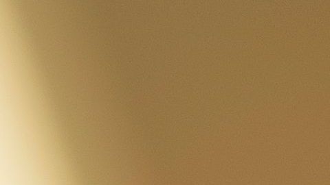 Selena Gómez, nieta de indocumentados.