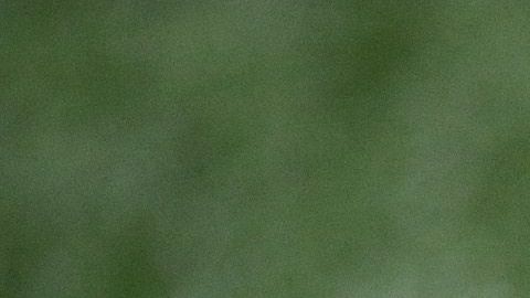 El gol de campo de 63 yardas fue el más largo en la NFL por 43 años.