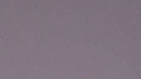 Peter Navarro es el principal asesor económico del presidente Trump.