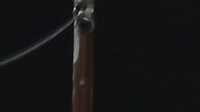 El gobierno federal añadió $1,000 millones de dólares al seguro de desempleo.