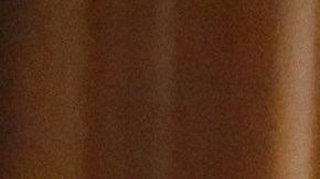 El gobernador Greg Abbott informó que 1,366 tejanos se han recuperado de COVID-19.