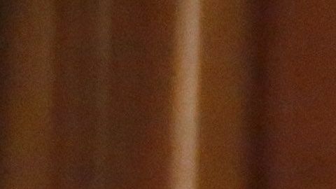 El gobernador Greg Abbott informó que 1,366 tejanos se han recuperado de COVID-19.